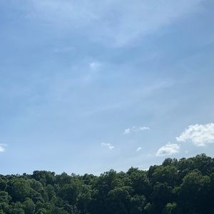 Meet your Posher, Reid